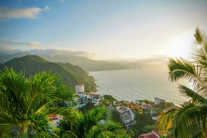 leafy trees in the foreground above a beach and housetop view below