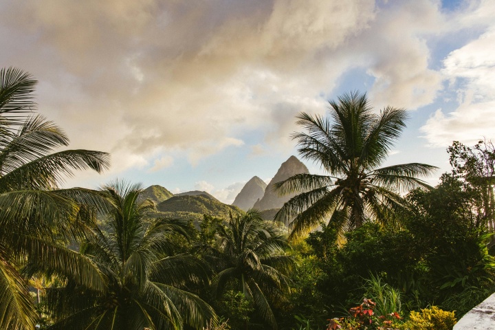 green palms under a cloudy sky with mountains in the distance