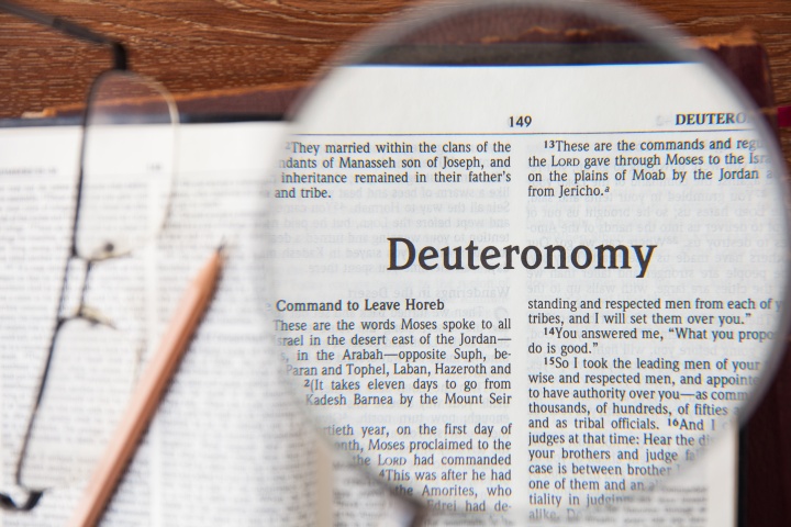 Daily Bible Reading: Deuteronomy