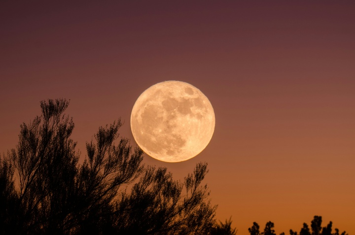 a full moon against a night sky with an orange glow and tree branches in the foreground