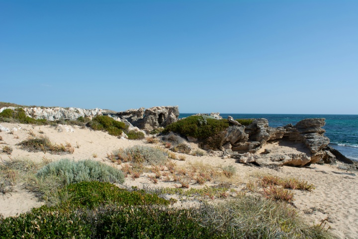 a sandy beach with low green shrubs next to the ocean under a blue sky