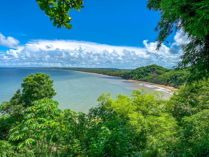 green trees surrounding a blue body of water under a blue and cloudy sky