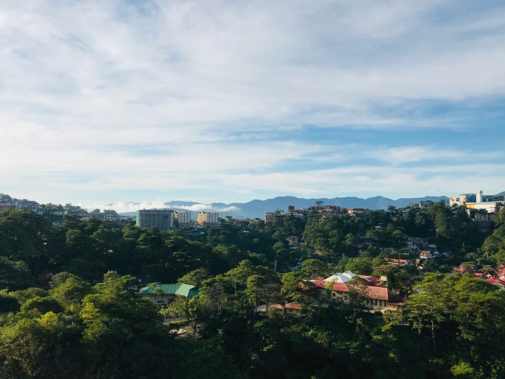 Green trees with a city in the background and buildings scattered across the landscape